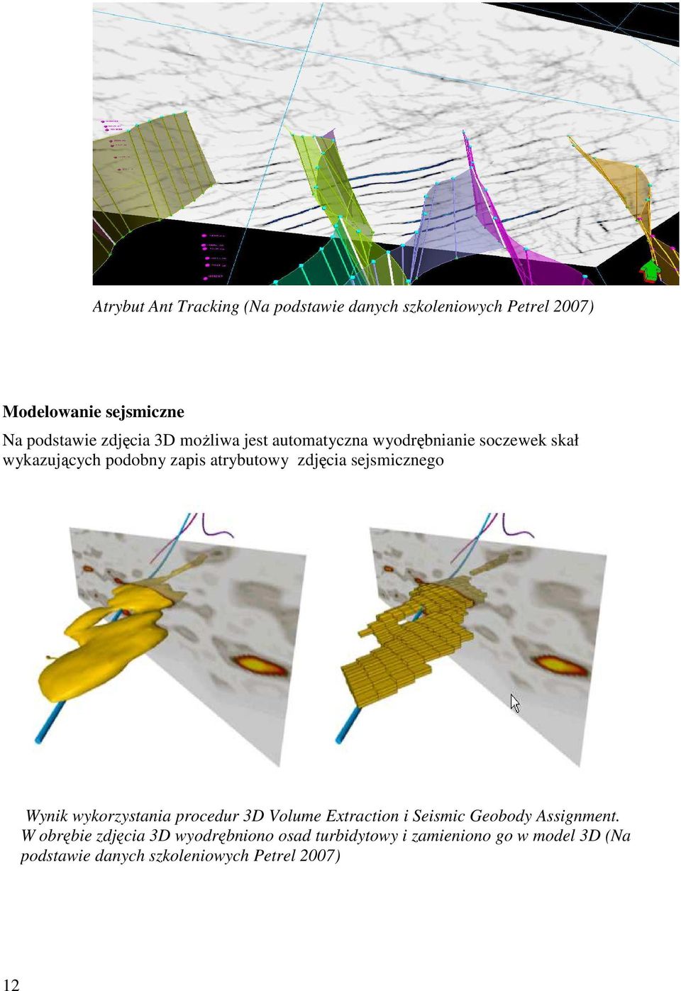 zdjęcia sejsmicznego Wynik wykorzystania procedur 3D Volume Extraction i Seismic Geobody Assignment.
