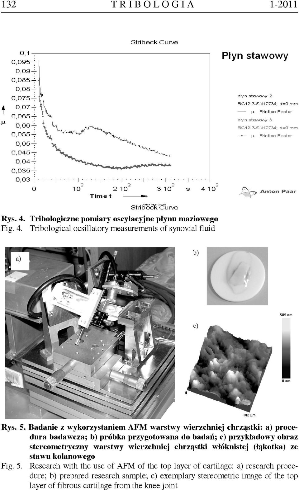 stereometryczny warstwy wierzchniej chrząstki włóknistej (łąkotka) ze stawu kolanowego Fig. 5.
