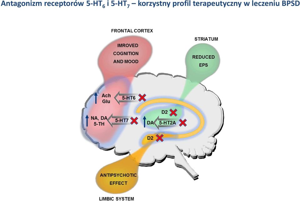 5-HT 7 korzystny