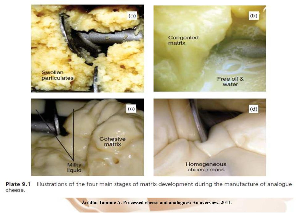 and analogues: