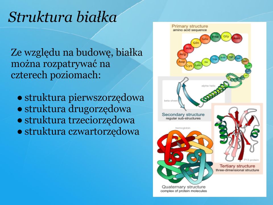 struktura pierwszorzędowa struktura