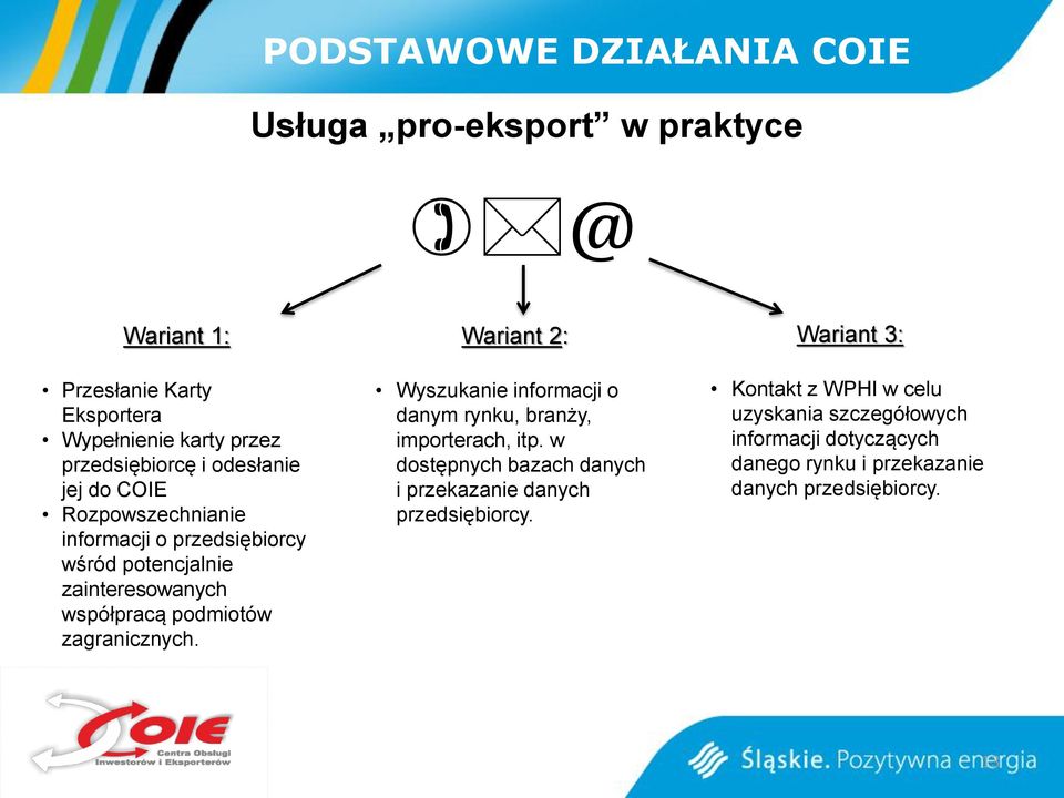 zagranicznych. Wariant 2: Wyszukanie informacji o danym rynku, branży, importerach, itp.