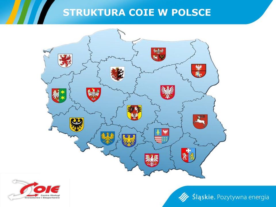 POLSCE 9