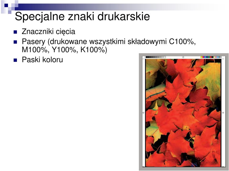 (drukowane wszystkimi