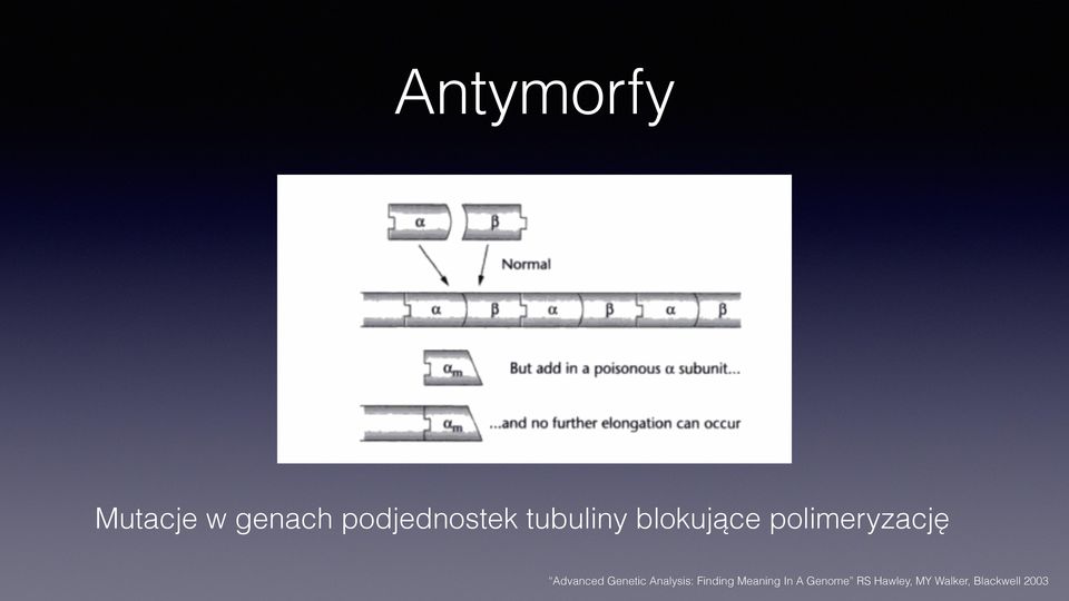 Advanced Genetic Analysis: Finding