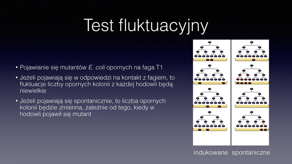 fluktuacje liczby opornych kolonii z każdej hodowli będą niewielkie Jeżeli pojawiają