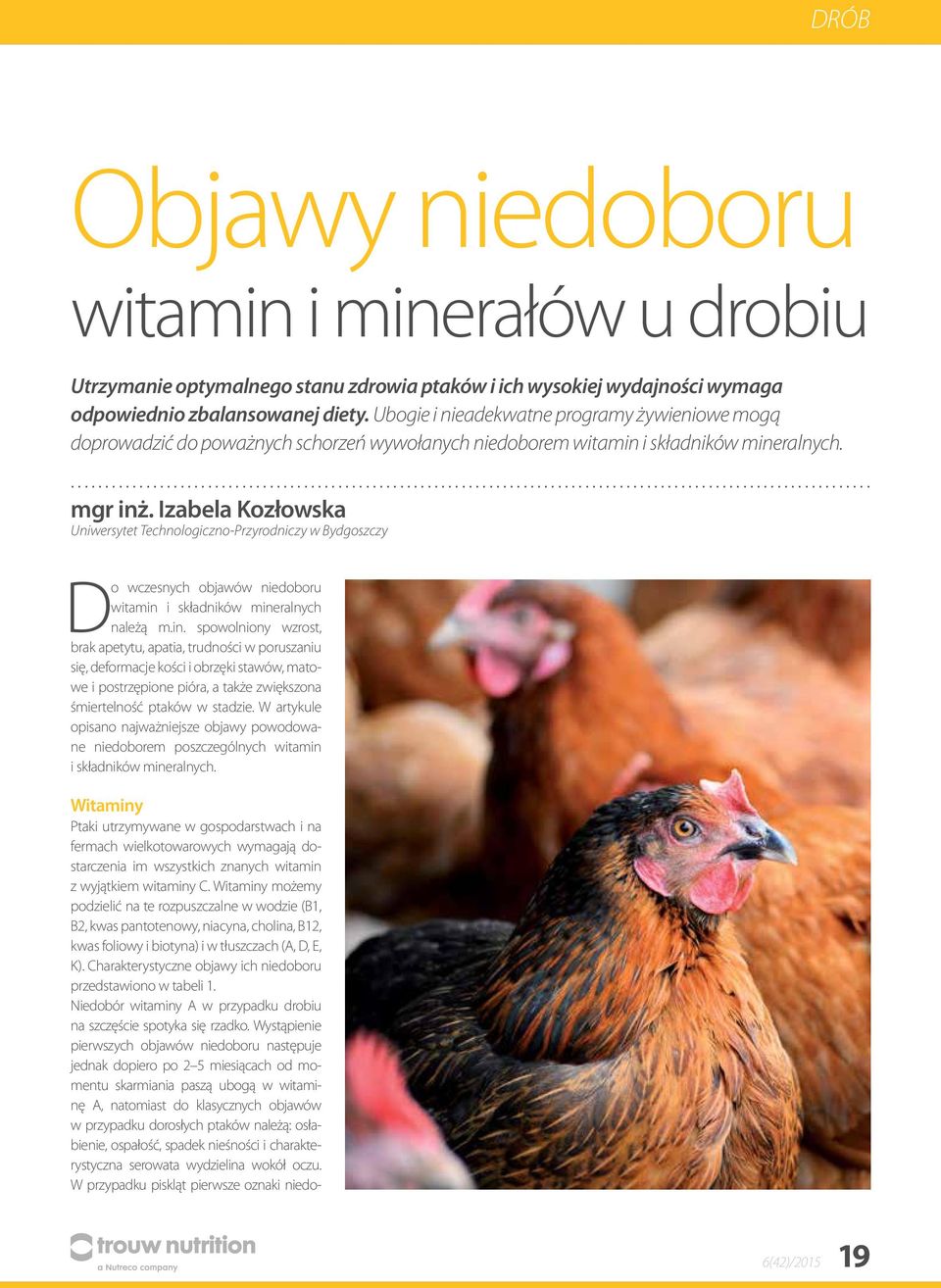 Wzrost Wydajności Krów Poprzez Zmianę Podejścia Do żywienia