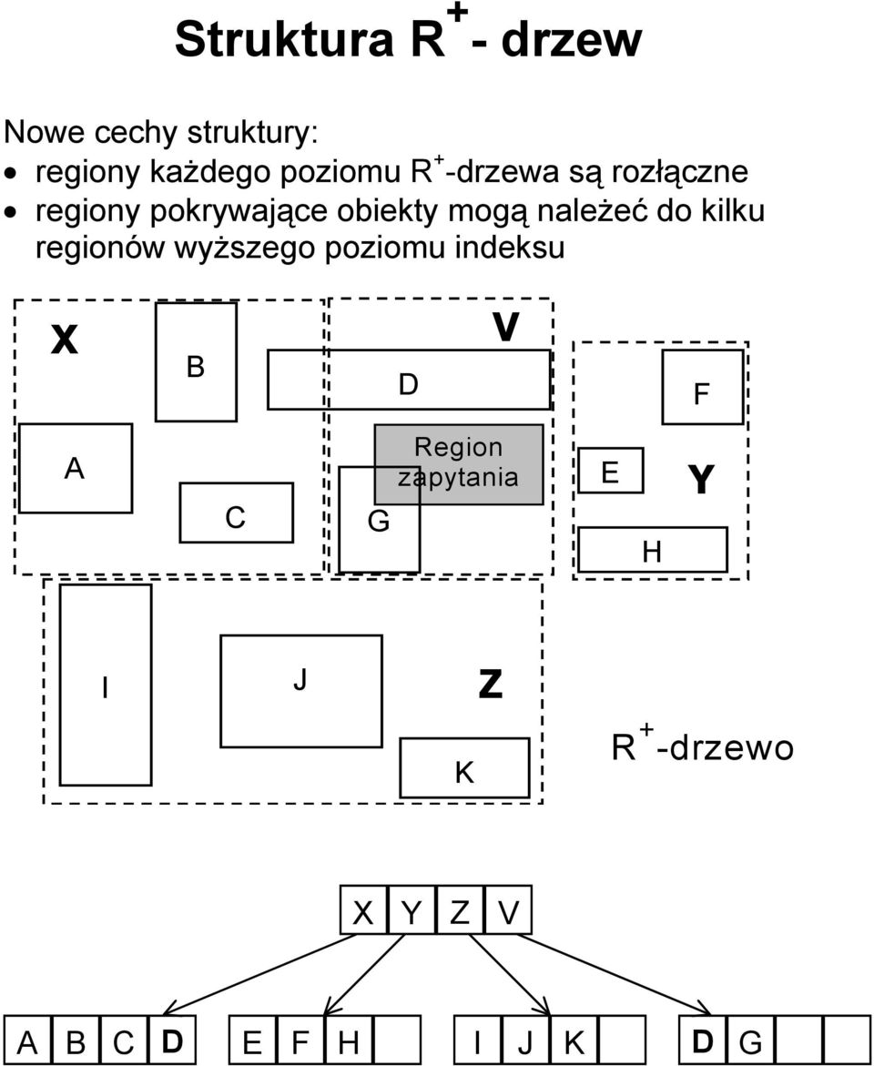 należeć do kilku regionów wyższego poziomu indeksu X B D V F A C