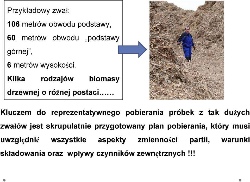 Kilka rodzajów biomasy drzewnej o różnej postaci Kluczem do reprezentatywnego pobierania