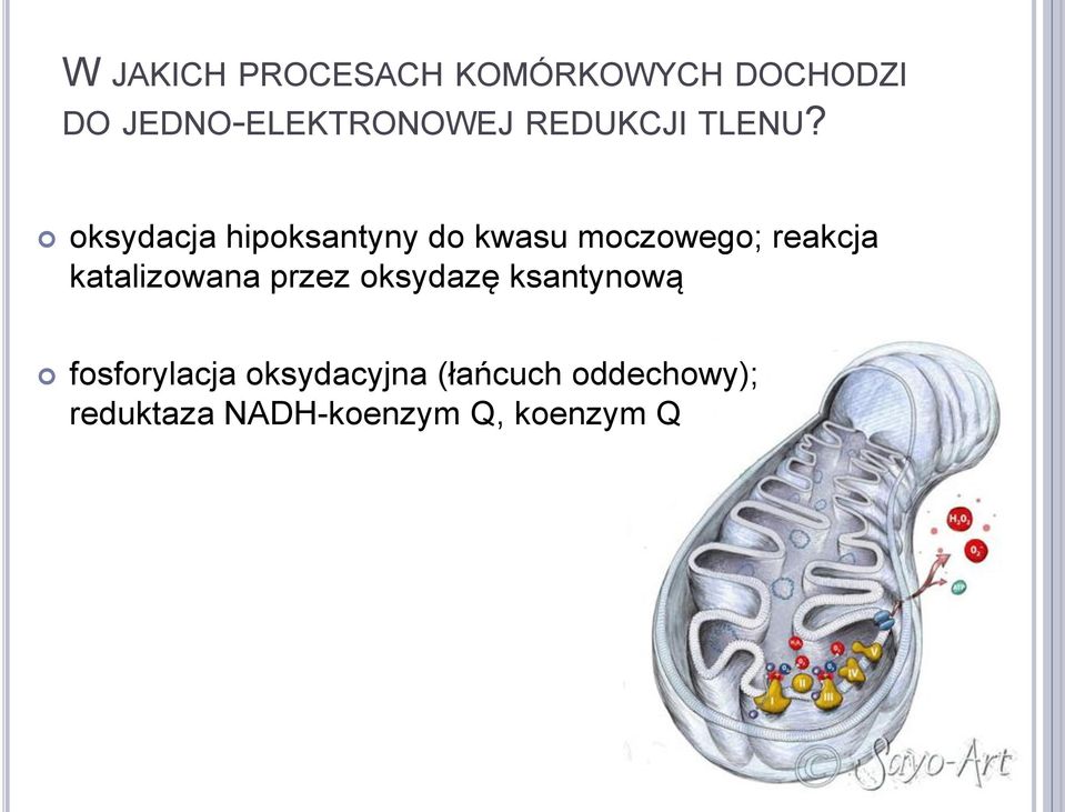 oksydacja hipoksantyny do kwasu moczowego; reakcja