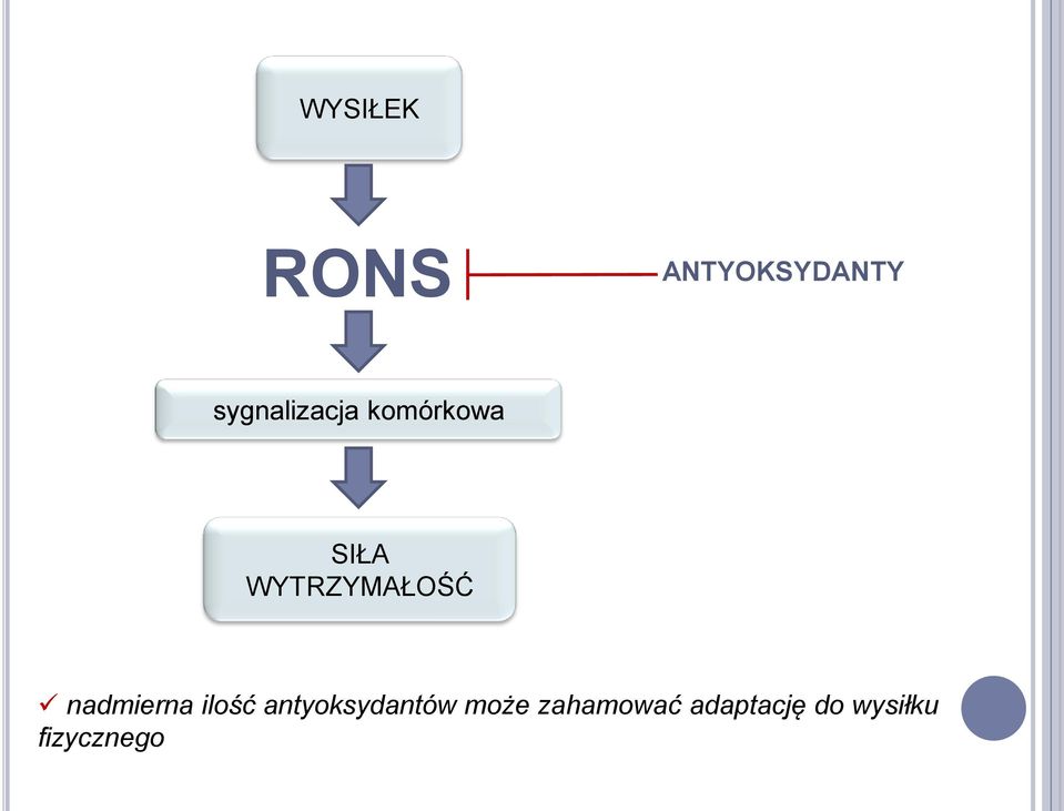 WYTRZYMAŁOŚĆ nadmierna ilość