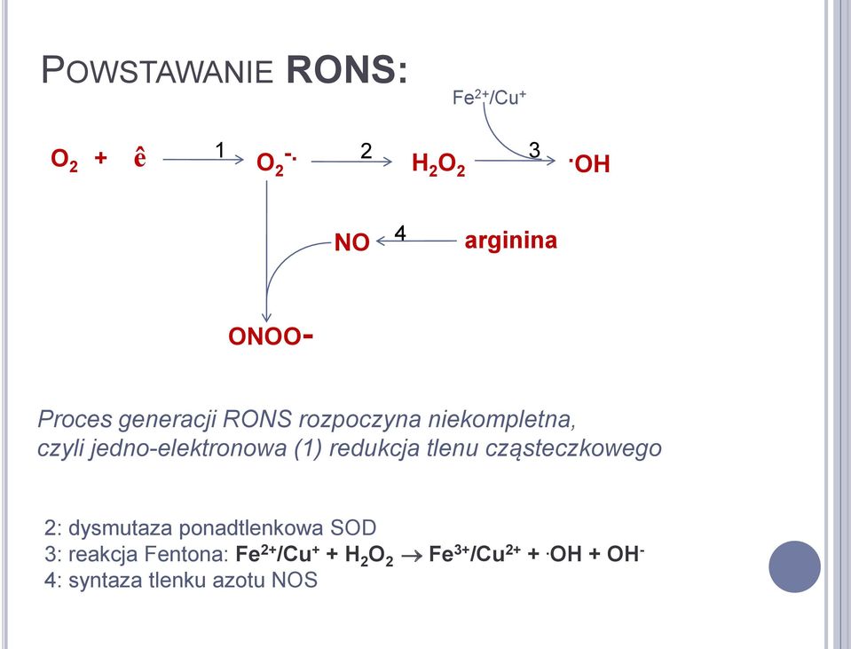 jedno-elektronowa (1) redukcja tlenu cząsteczkowego 2: dysmutaza ponadtlenkowa