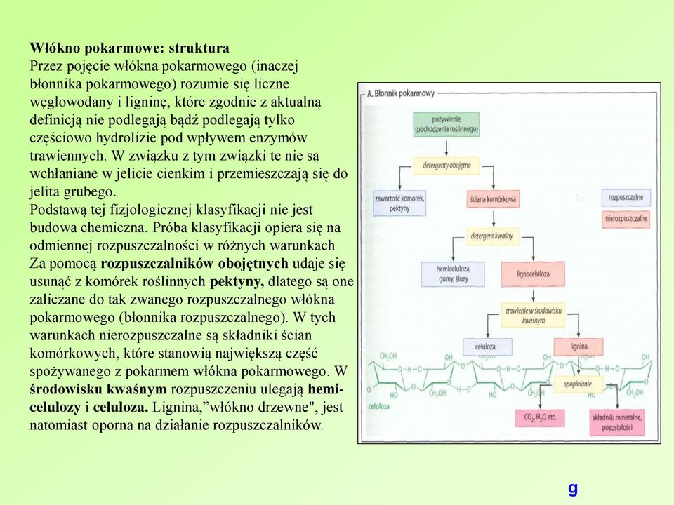 Podstawą tej fizjologicznej klasyfikacji nie jest budowa chemiczna.