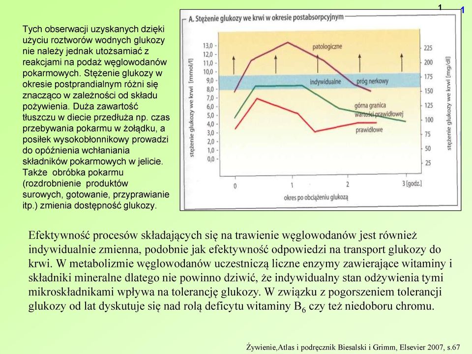 czas przebywania pokarmu w żołądku, a posiłek wysokobłonnikowy prowadzi do opóźnienia wchłaniania składników pokarmowych w jelicie.