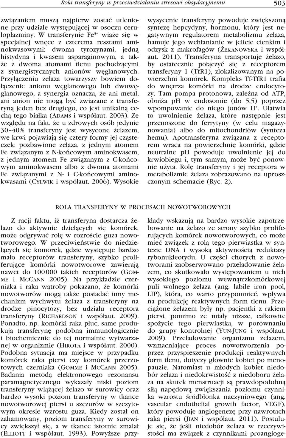 synergistycznych anionów węglanowych.