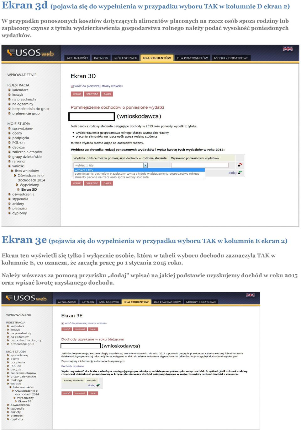 Ekran 3e (pojawia się do wypełnienia w przypadku wyboru TAK w kolumnie E ekran 2) Ekran ten wyświetli się tylko i wyłącznie osobie, która w tabeli wyboru dochodu