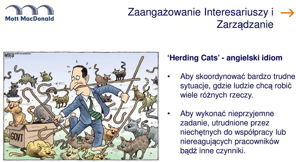 wiele różnych rzeczy.