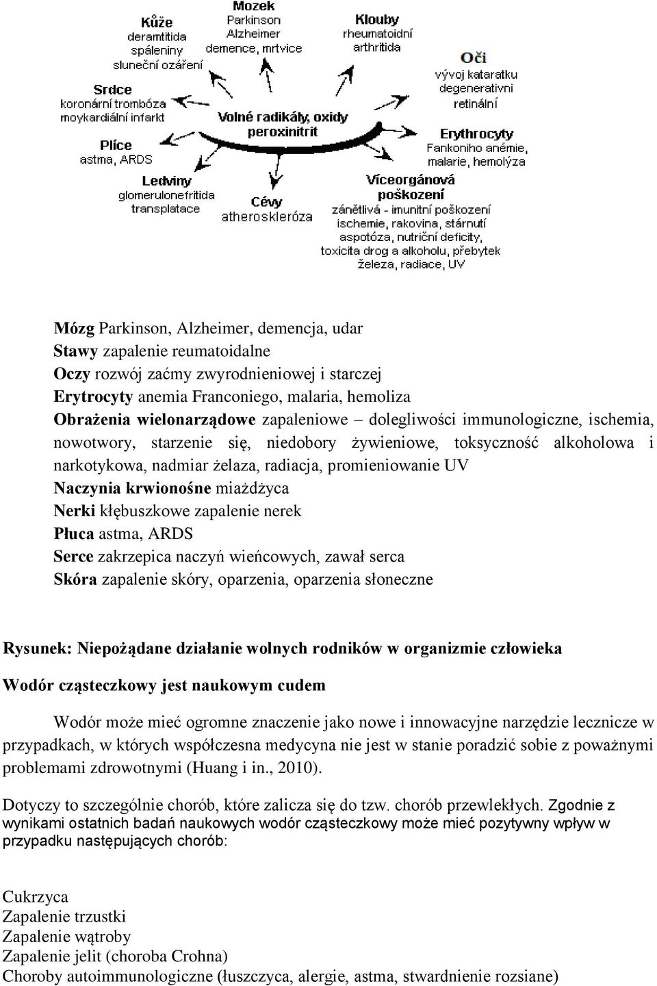krwionośne miażdżyca Nerki kłębuszkowe zapalenie nerek Płuca astma, ARDS Serce zakrzepica naczyń wieńcowych, zawał serca Skóra zapalenie skóry, oparzenia, oparzenia słoneczne Rysunek: Niepożądane