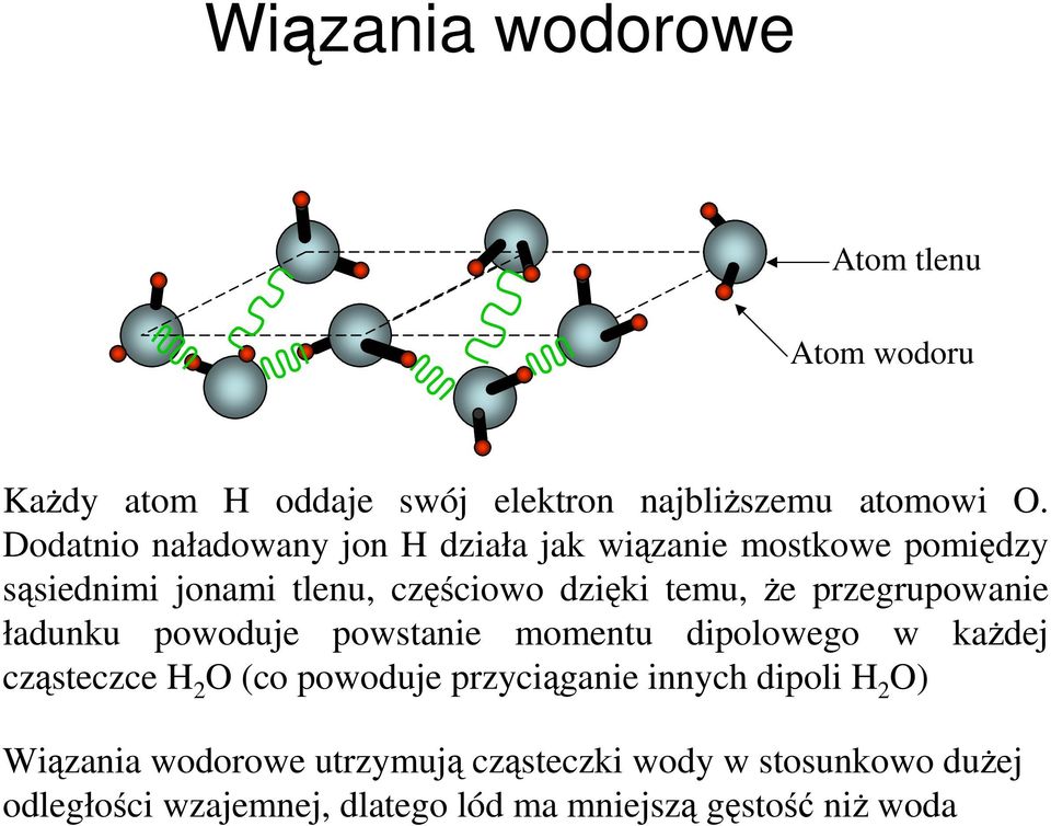 przegrupowanie ładunku powoduje powstanie momentu dipolowego w każdej cząsteczce H 2 O (co powoduje przyciąganie