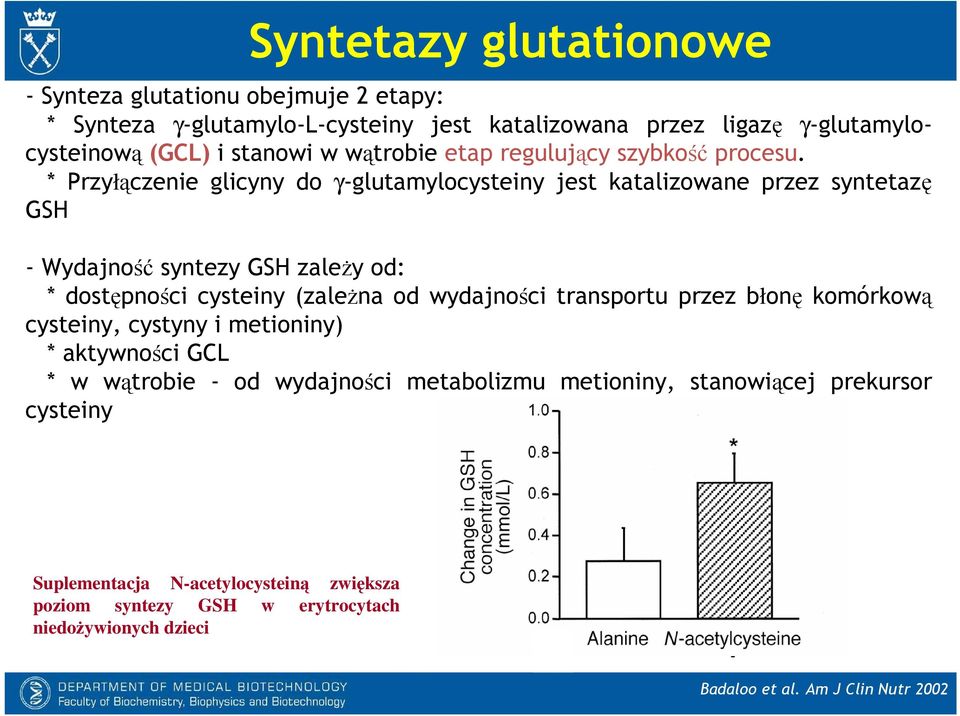 * Przyłączenie glicyny do γ-glutamylocysteiny jest katalizowane przez syntetazę GSH - Wydajność syntezy GSH zaleŝy od: * dostępności cysteiny (zaleŝna od wydajności