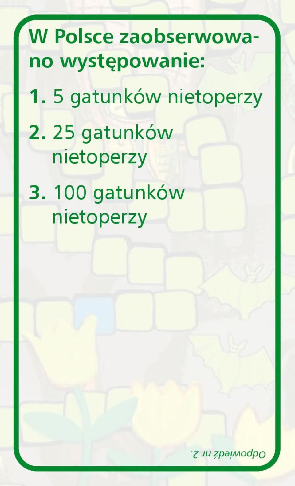 5 gatunków nietoperzy 2.