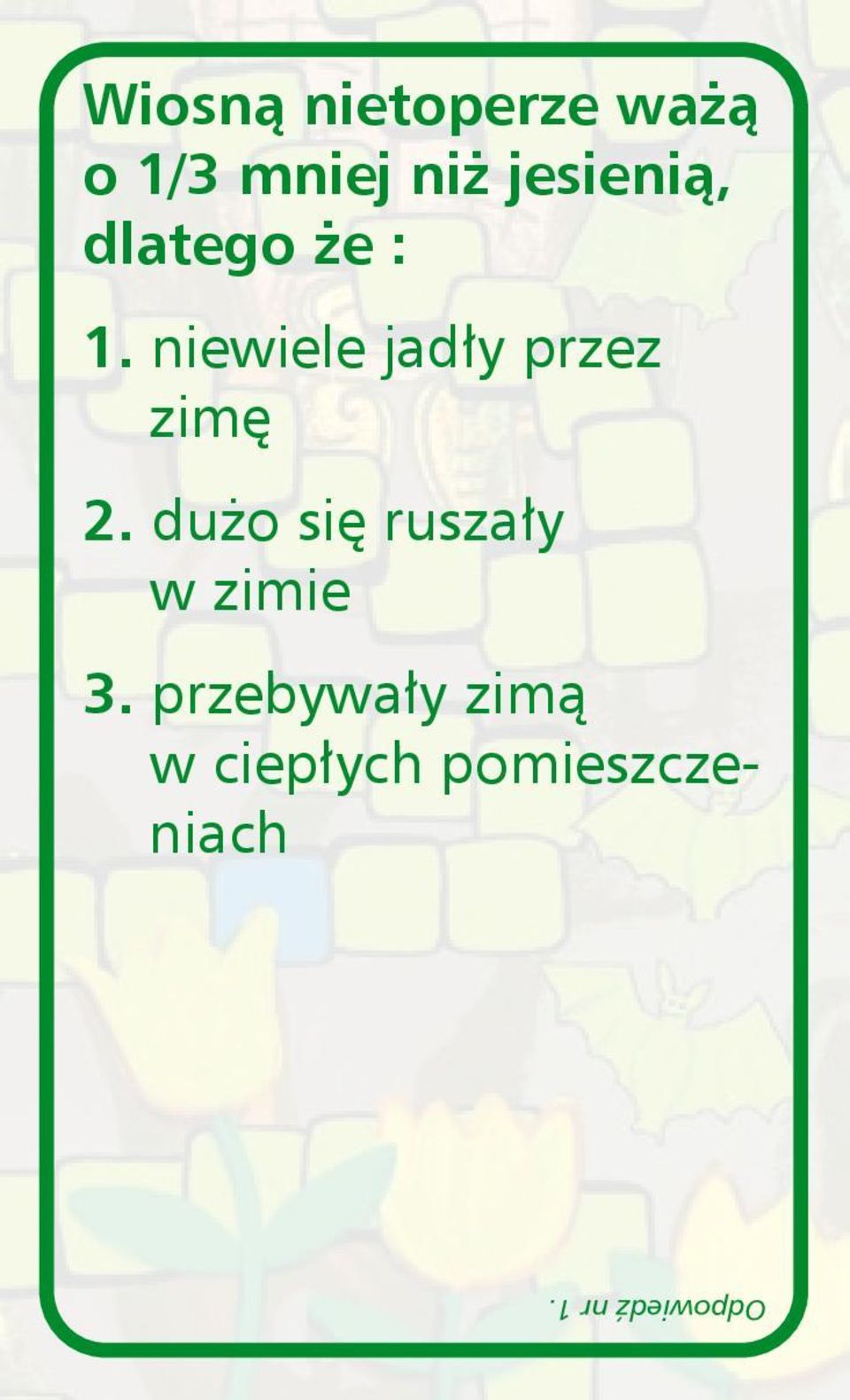 niewiele jadły przez zimę 2.