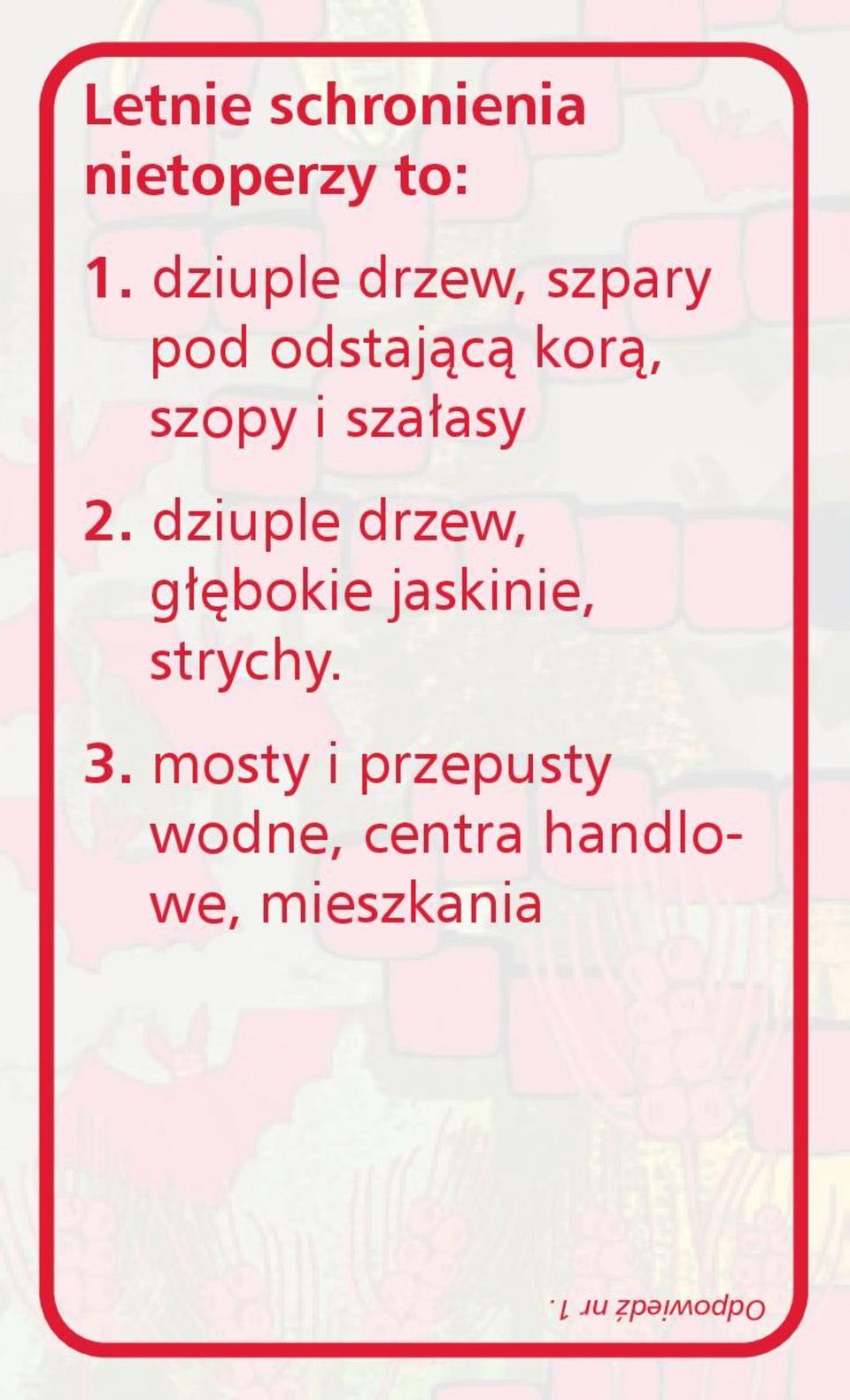 szałasy 2. dziuple drzew, głębokie jaskinie, strychy.