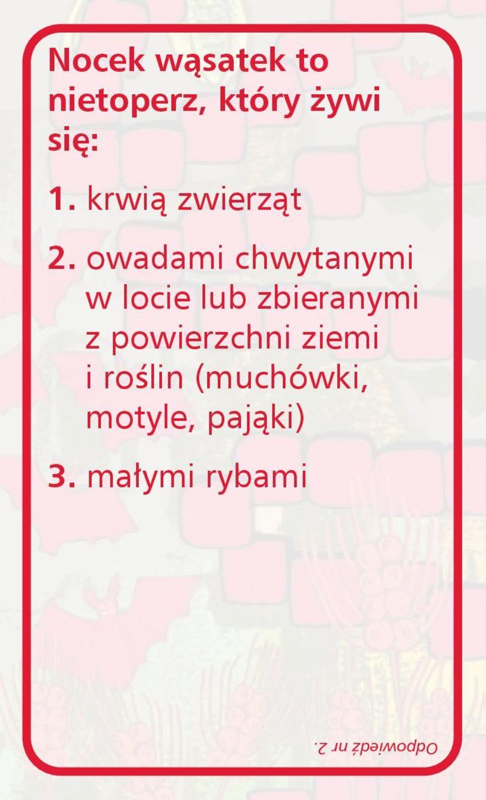 owadami chwytanymi w locie lub zbieranymi z