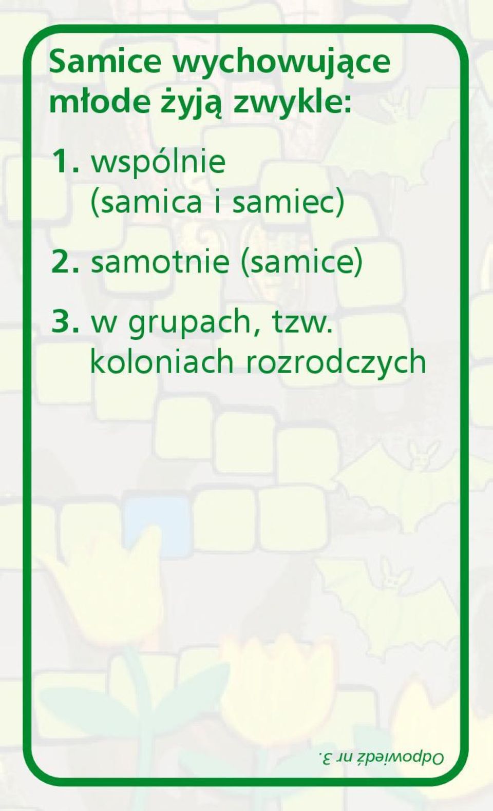 wspólnie (samica i samiec) 2.