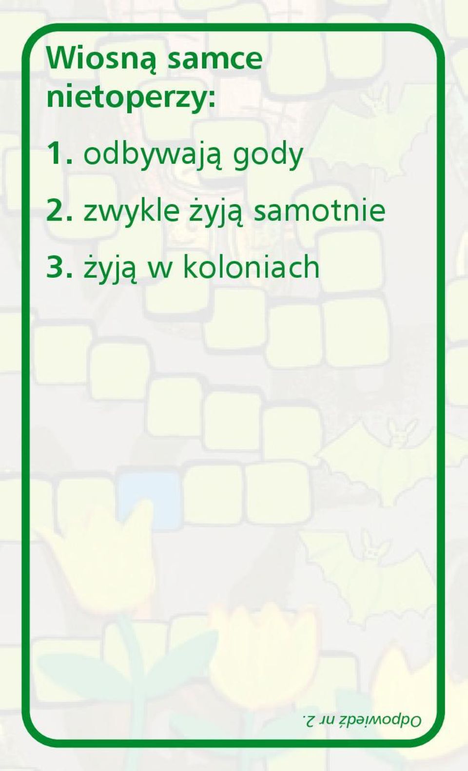 zwykle żyją samotnie 3.