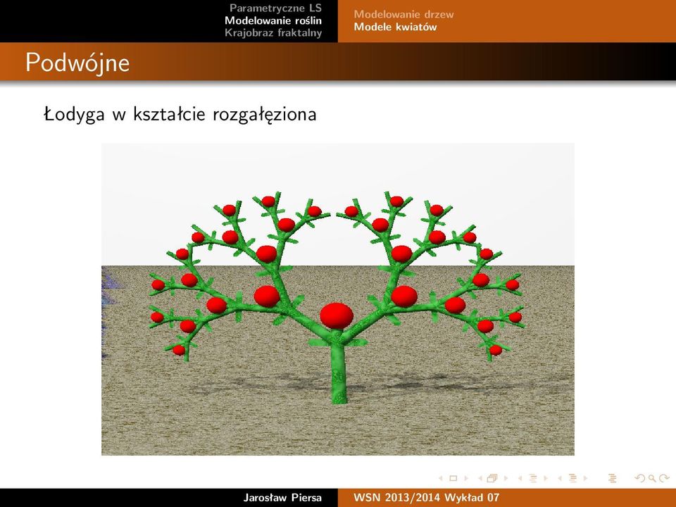 kształcie