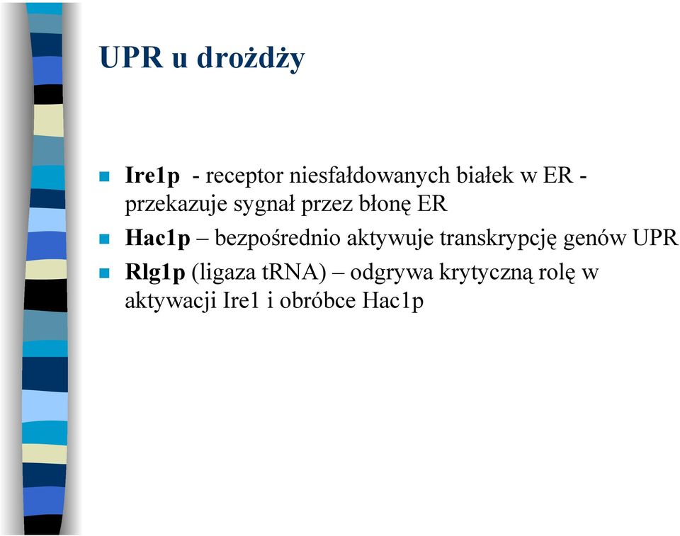 bezpośrednio aktywuje transkrypcję genów UPR Rlg1p