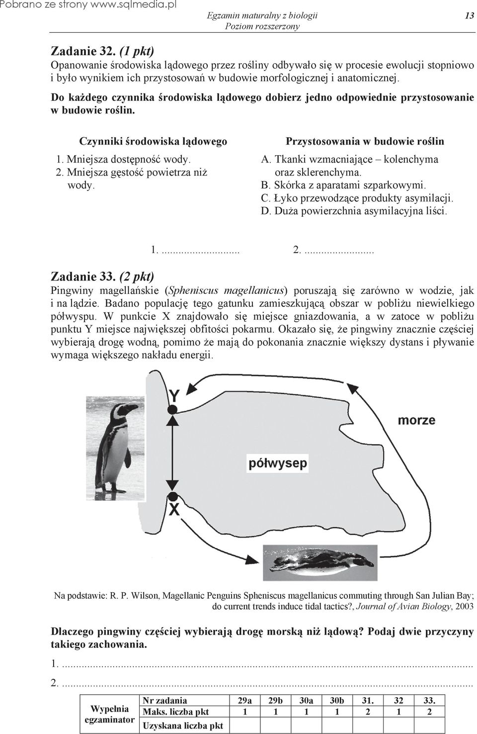 Przystosowania w budowie ro lin A. Tkanki wzmacniaj ce kolenchyma oraz sklerenchyma. B. Skórka z aparatami szparkowymi. C. yko przewodz ce produkty asymilacji. D. Du a powierzchnia asymilacyjna li ci.