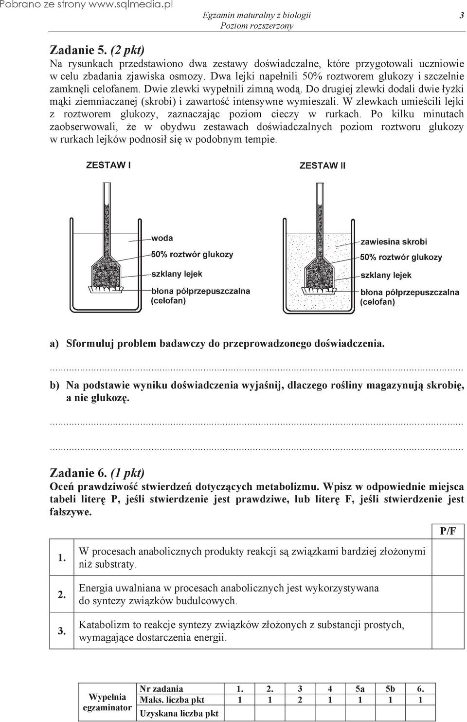 Do drugiej zlewki dodali dwie y ki m ki ziemniaczanej (skrobi) i zawarto intensywne wymieszali. W zlewkach umie cili lejki z roztworem glukozy, zaznaczaj c poziom cieczy w rurkach.
