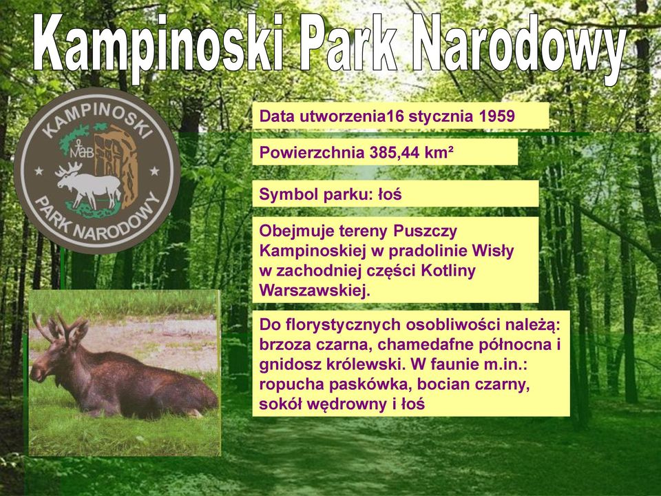 Warszawskiej.