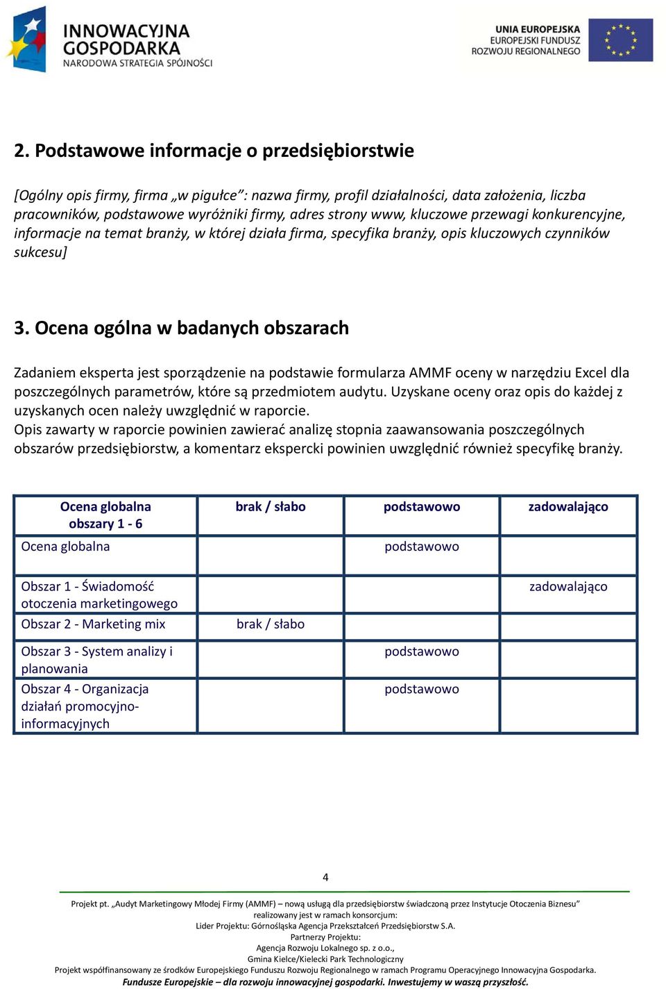 Ocena ogólna w badanych obszarach Zadaniem eksperta jest sporządzenie na podstawie formularza AMMF oceny w narzędziu Excel dla poszczególnych parametrów, które są przedmiotem audytu.