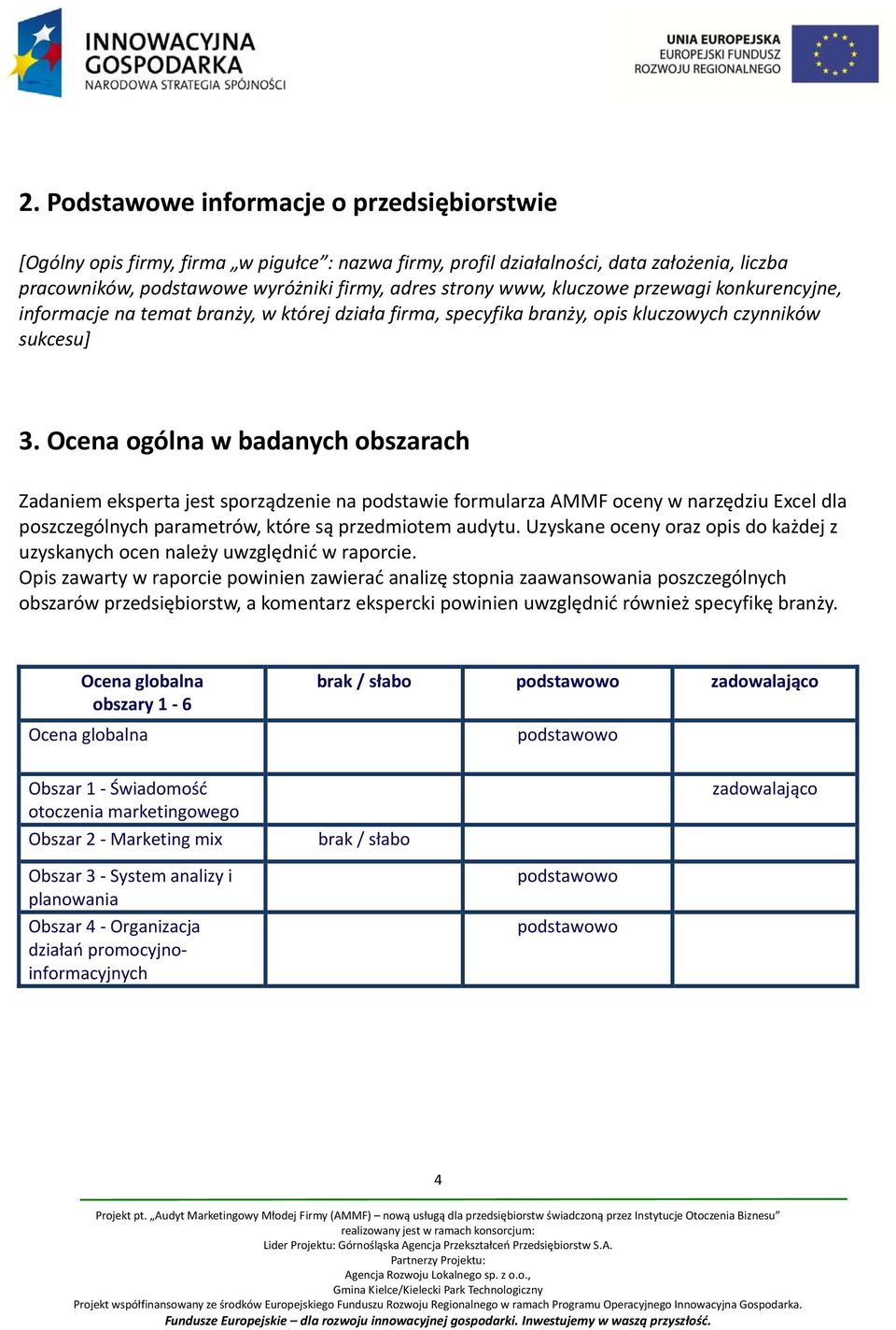 Ocena ogólna w badanych obszarach Zadaniem eksperta jest sporządzenie na podstawie formularza AMMF oceny w narzędziu Excel dla poszczególnych parametrów, które są przedmiotem audytu.