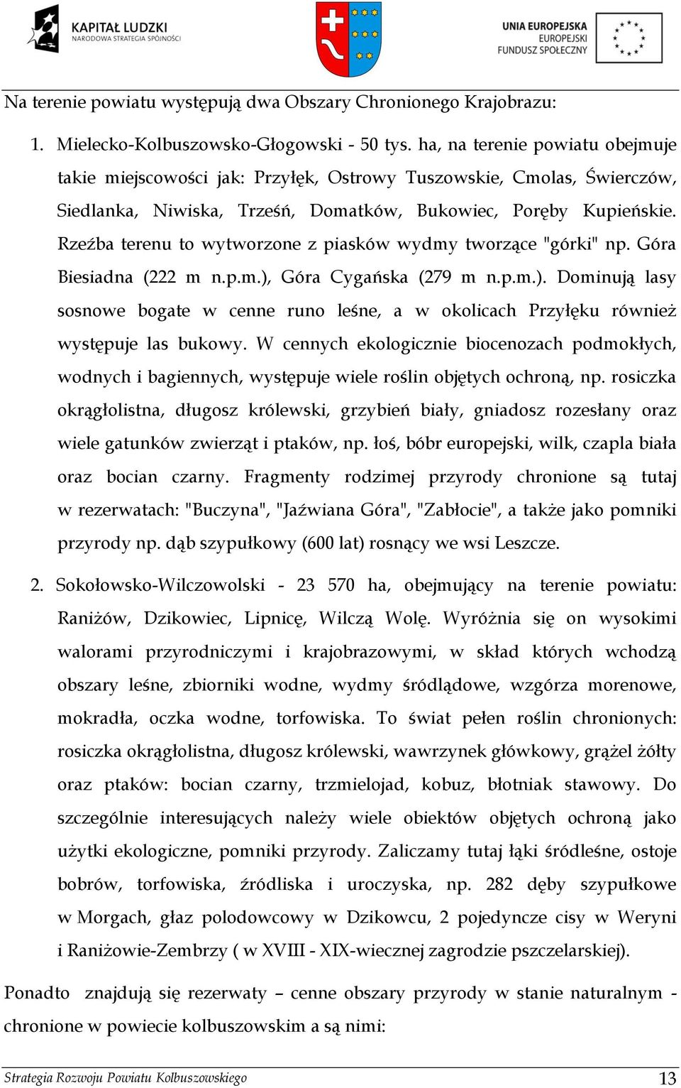 Rzeźba terenu to wytworzone z piasków wydmy tworzące "górki" np. Góra Biesiadna (222 m n.p.m.), Góra Cygańska (279 m n.p.m.). Dominują lasy sosnowe bogate w cenne runo leśne, a w okolicach Przyłęku również występuje las bukowy.