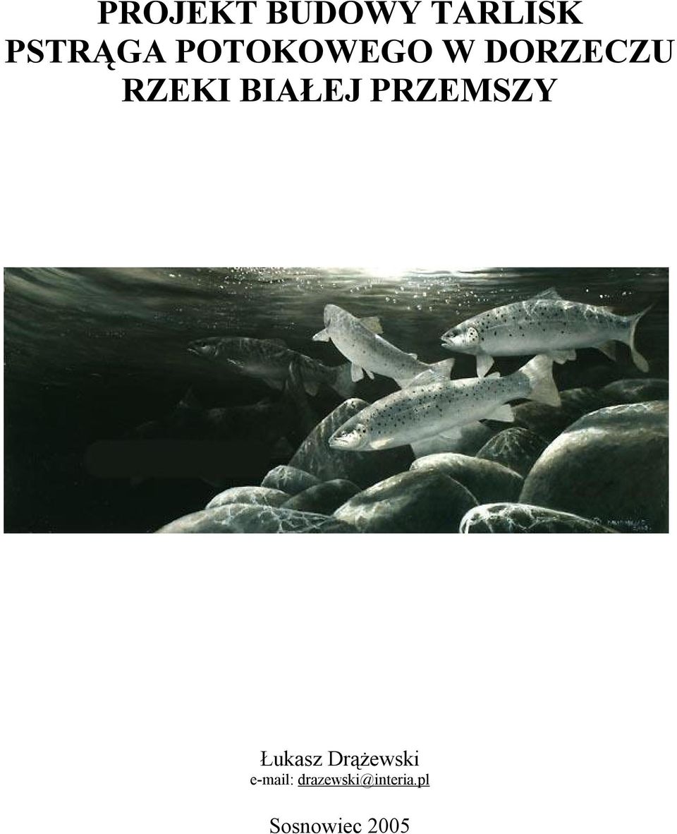 BIAŁEJ PRZEMSZY Łukasz Drążewski