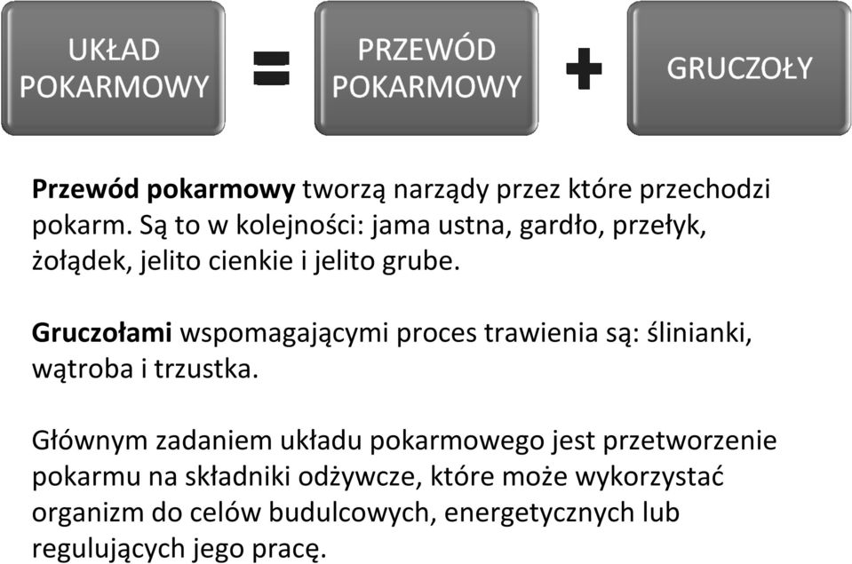 Gruczołami wspomagającymi proces trawienia są: ślinianki, wątroba i trzustka.