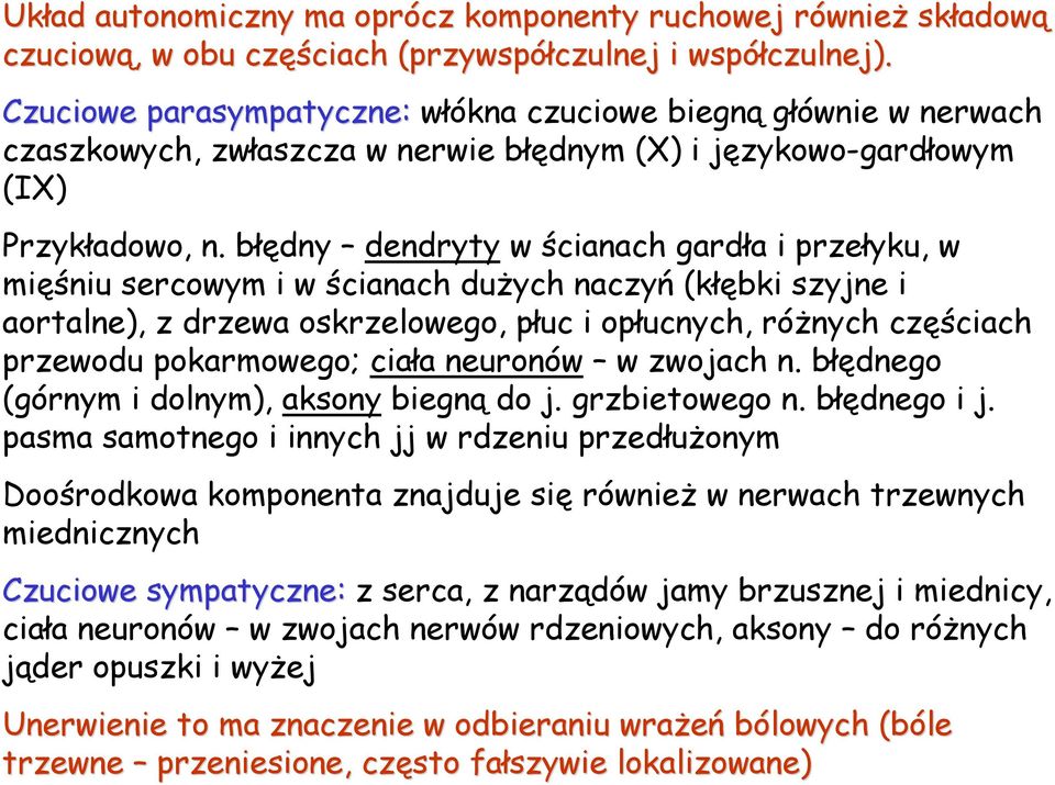 błędny dendryty w ścianach gardła i przełyku, w mięśniu sercowym i w ścianach duŝych naczyń (kłębki szyjne i aortalne), z drzewa oskrzelowego, płuc i opłucnych, róŝnych częściach przewodu