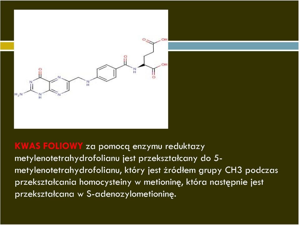 metylenotetrahydrofolianu, który jest żródłem grupy CH3 podczas