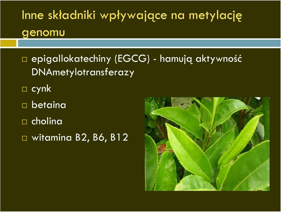 (EGCG) - hamują aktywność