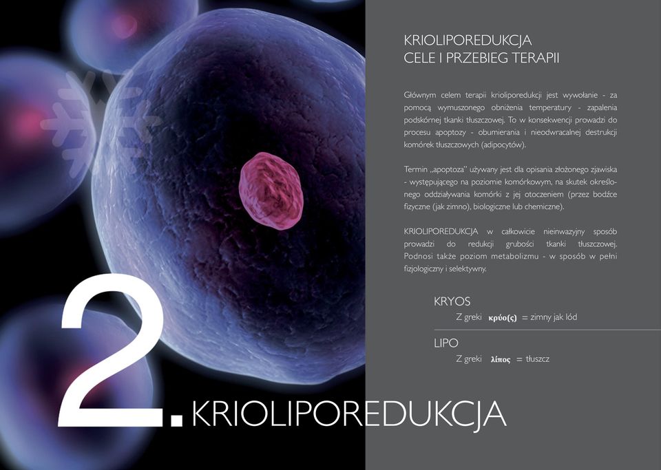Termin apoptoza używany jest dla opisania złożonego zjawiska - występującego na poziomie komórkowym, na skutek określonego oddziaływania komórki z jej otoczeniem (przez bodźce fizyczne (jak