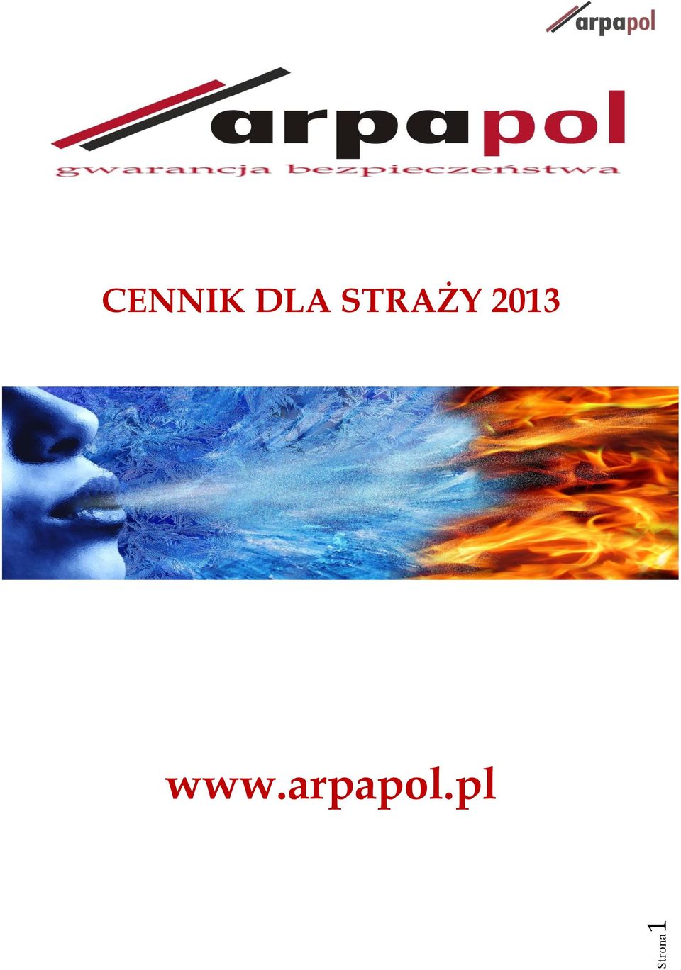 STRAŻY 2013