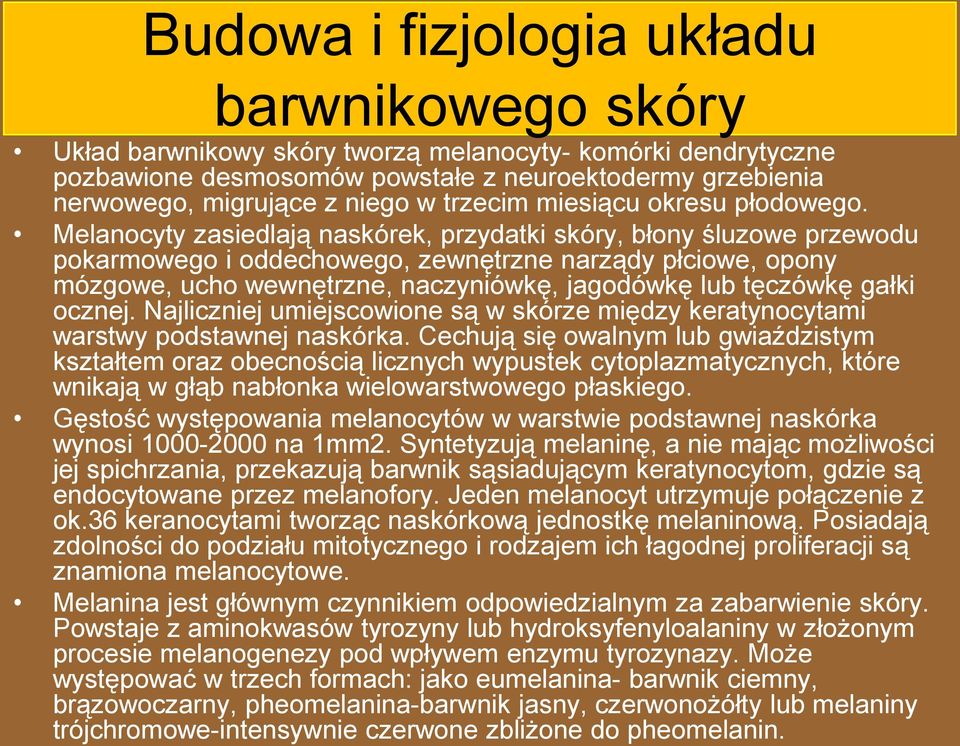 Melanocyty zasiedlają naskórek, przydatki skóry, błony śluzowe przewodu pokarmowego i oddechowego, zewnętrzne narządy płciowe, opony mózgowe, ucho wewnętrzne, naczyniówkę, jagodówkę lub tęczówkę