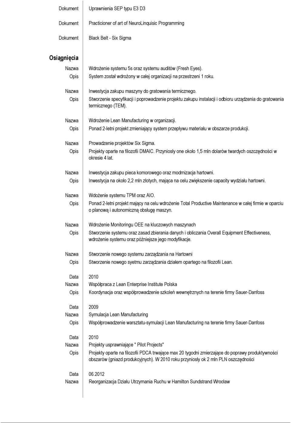 Stworzenie specyfikacji i poprowadzenie projektu zakupu instalacji i odbioru urządzenia do gratowania termicznego (TEM). Wdrożenie Lean Manufacturing w organizacji.