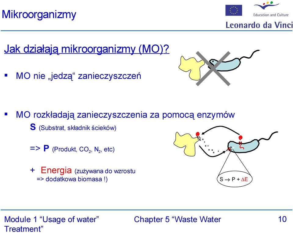 pomocą enzymów S (Substrat, składnik ścieków) => P (Produkt,