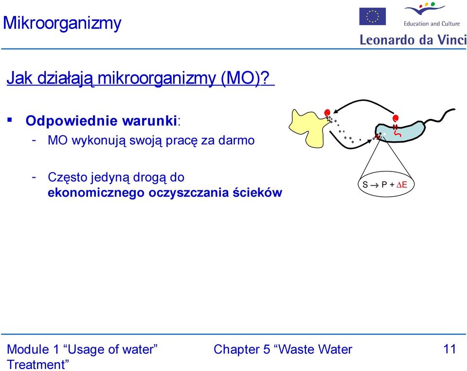 swoją pracę za darmo - Często jedyną drogą