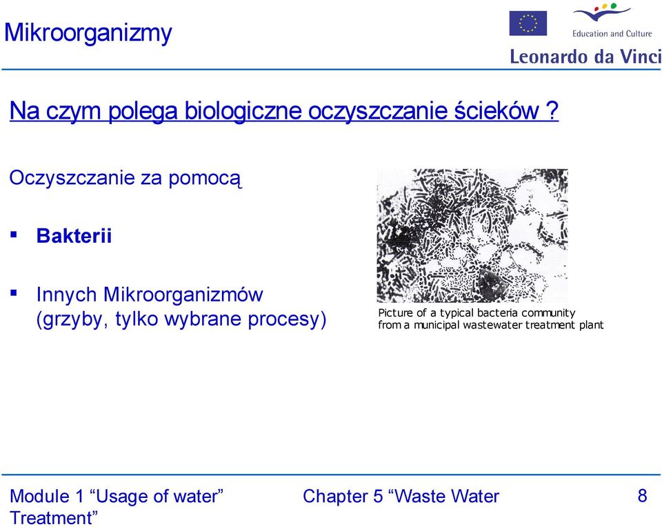 Oczyszczanie za pomocą Bakterii Innych Mikroorganizmów